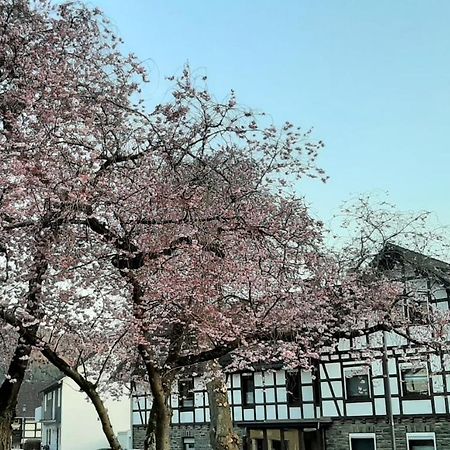 Vivanatura Eifelferienhaus Einruhr Esterno foto
